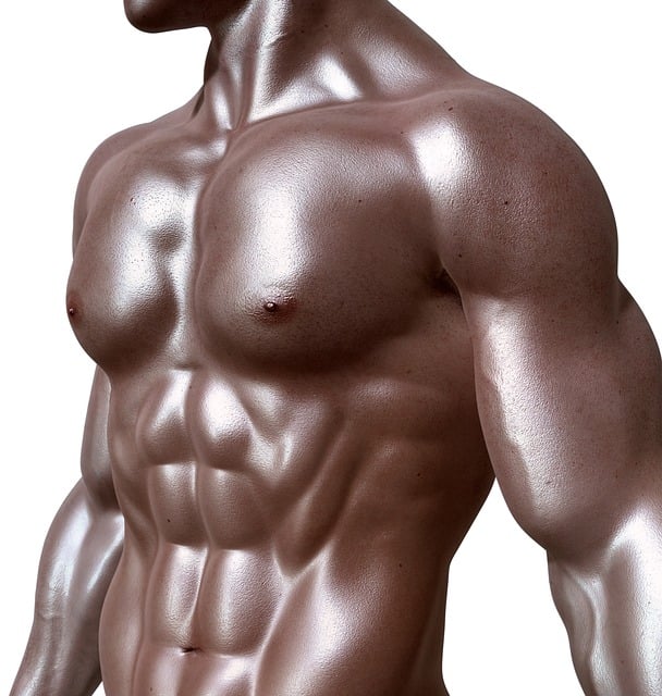 npressfetimg-78.png