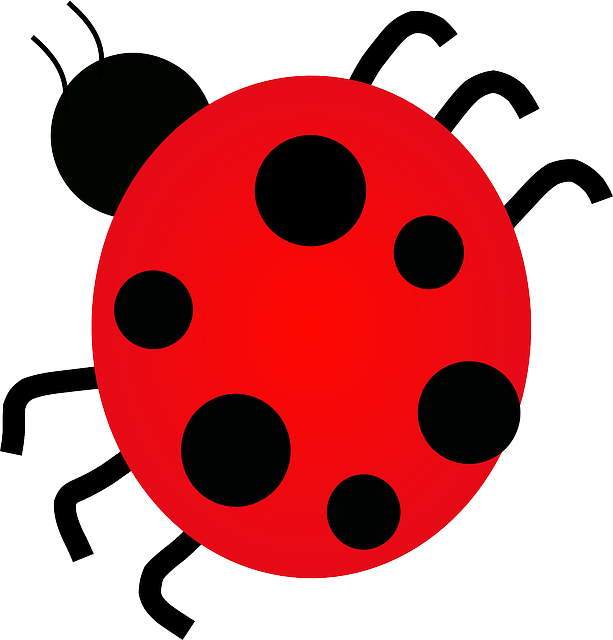 six-sigmalean-six-sigmasix-sigma-black-b-640x480-8182236.png
