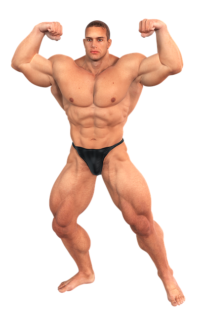 npressfetimg-81.png