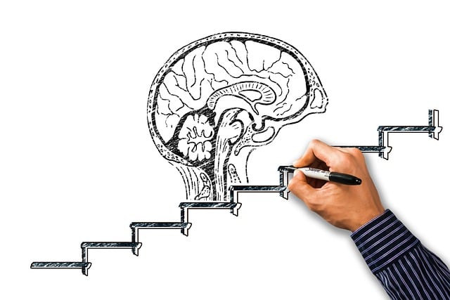 5S training,lean management,workplace organization,5s continuous improvement,process standardization