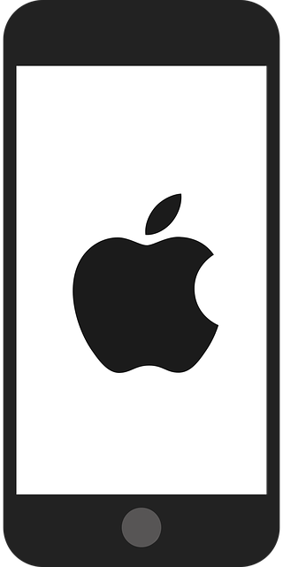5s-traininglean-managementworkplace-orga-640x480-76438672.png