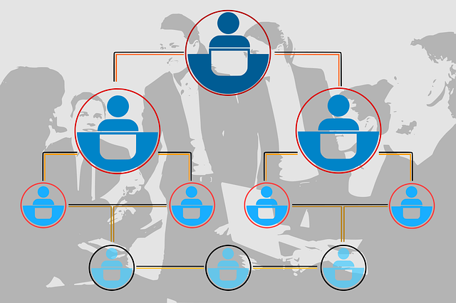 5S training,lean management,workplace organization,5s continuous improvement,process standardization
