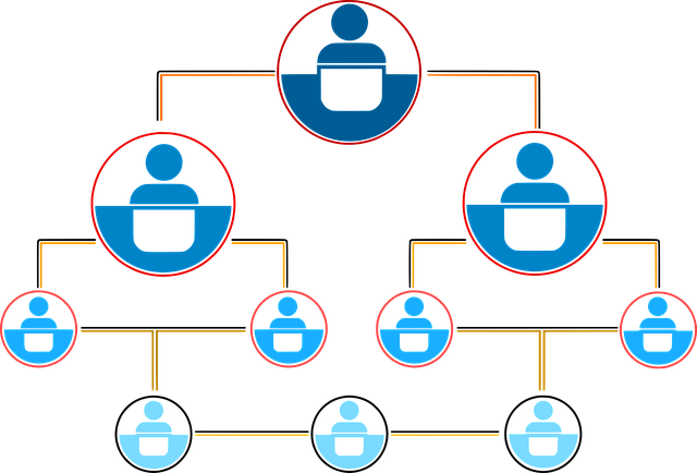5S training,lean management,workplace organization,5s continuous improvement,process standardization