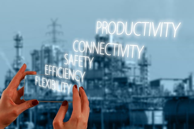 5S training,lean management,workplace organization,5s continuous improvement,process standardization