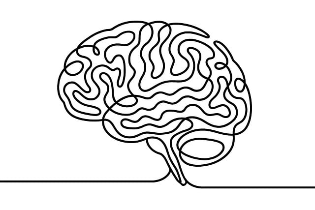5S training,lean management,workplace organization,5s continuous improvement,process standardization