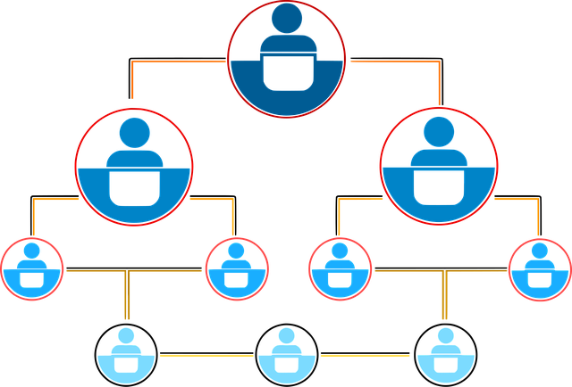 5S training,lean management,workplace organization,5s continuous improvement,process standardization