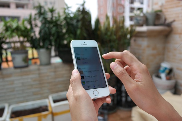 5S training,lean management,workplace organization,5s continuous improvement,process standardization