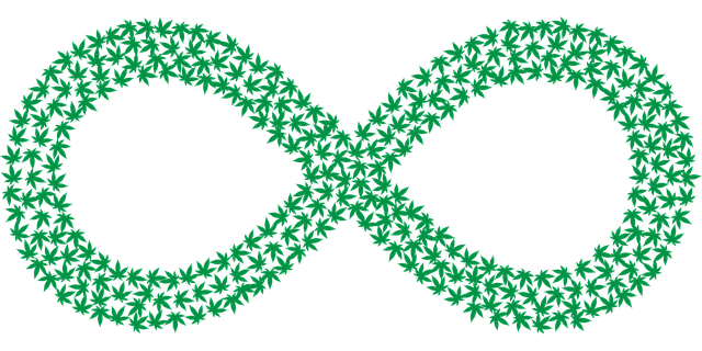 5S training,lean management,workplace organization,5s continuous improvement,process standardization