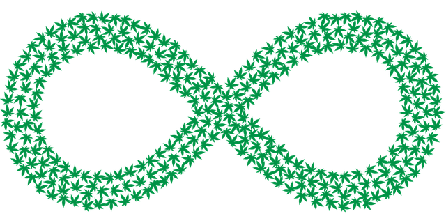 5S training,lean management,workplace organization,5s continuous improvement,process standardization