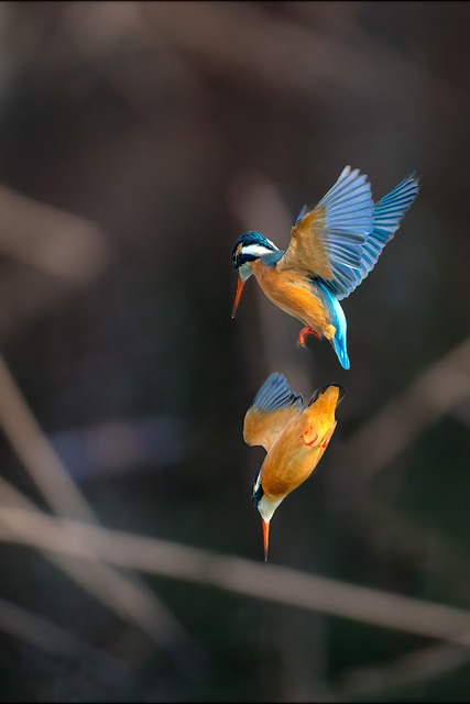 5S training,lean management,workplace organization,5s continuous improvement,process standardization