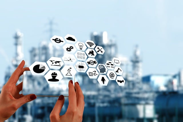 5S training,lean management,workplace organization,5s continuous improvement,process standardization