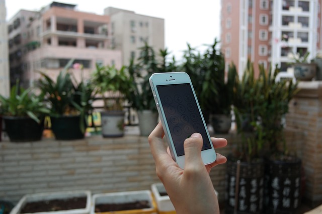 5S training,lean management,workplace organization,5s continuous improvement,process standardization