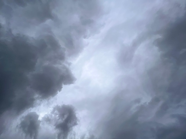 5S training,lean management,workplace organization,5s continuous improvement,process standardization